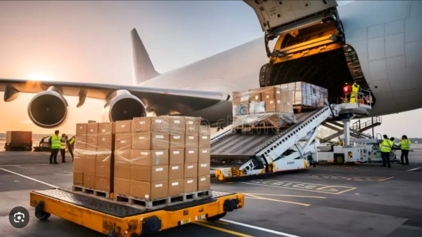 Cargo & Logistics